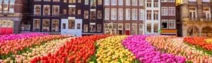 Excursiones desde Ámsterdam