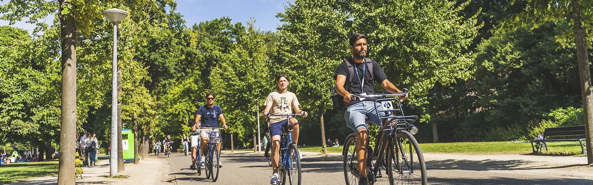 Tours en bici por Amsterdam