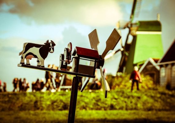 Zaanse Schans una de las ciudades más tradicionales de Países Bajos