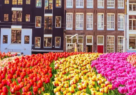 Excursiones desde Ámsterdam